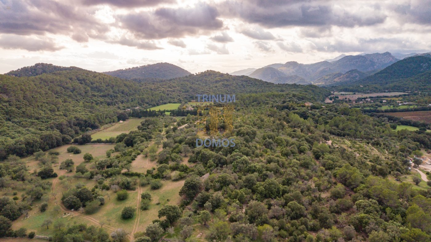 Thumbnail von Pollença Country House ES130783