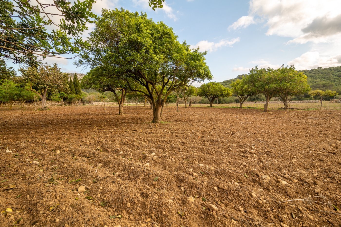 Thumbnail von Pollença Country House ES130783