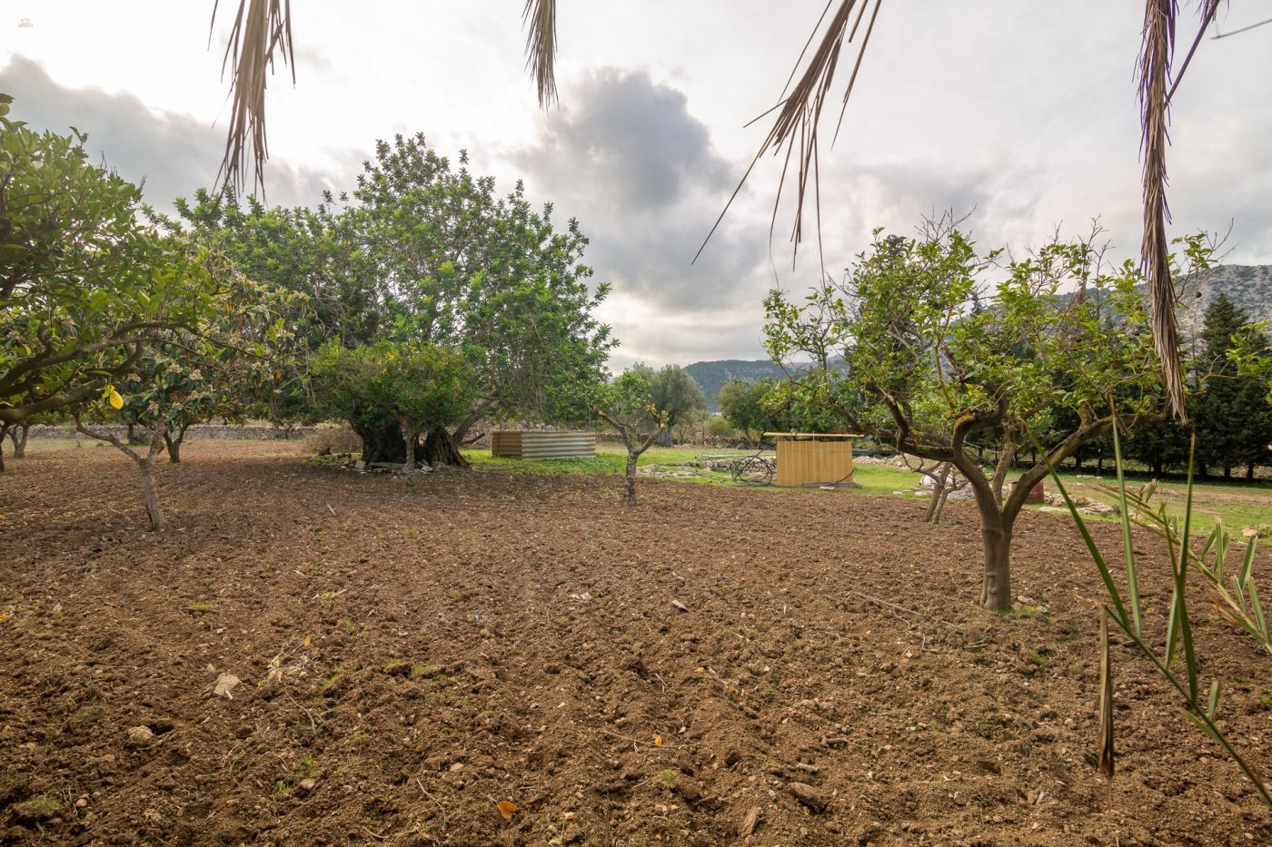 Thumbnail von Pollença Country House ES130783