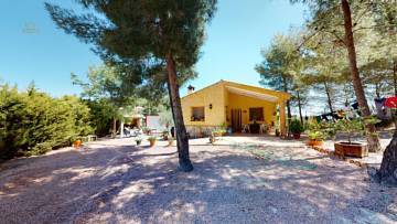 Thumbnail von Other For Sale in Bullas, Murcia