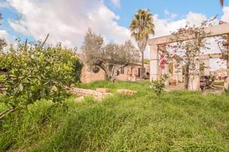 Thumbnail von San Lorenzo Villa ES130502