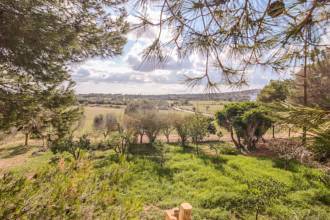 Thumbnail von San Lorenzo Villa ES130502