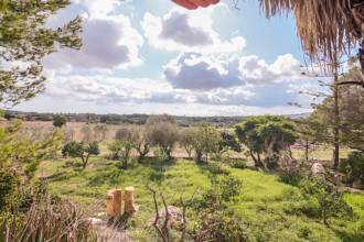 Thumbnail von San Lorenzo Villa ES130502