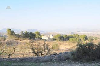 Thumbnail von Monóvar/Monóver Villa ES127447