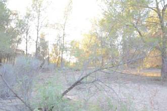 Thumbnail von Monóvar/Monóver Villa ES127447