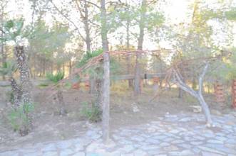 Thumbnail von Monóvar/Monóver Villa ES127447