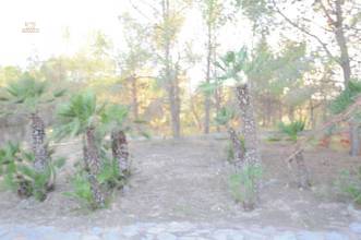 Thumbnail von Monóvar/Monóver Villa ES127447