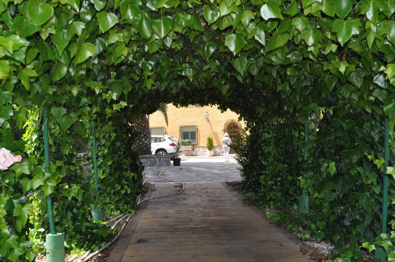 Thumbnail von Villena Villa ES127436