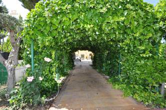 Thumbnail von Villena Villa ES127436