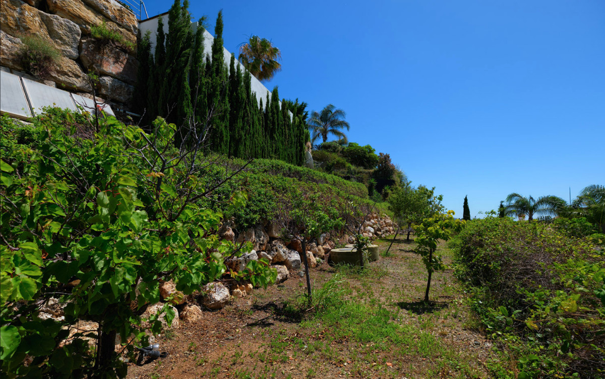 Thumbnail von Los Flamingos Villa ES126340