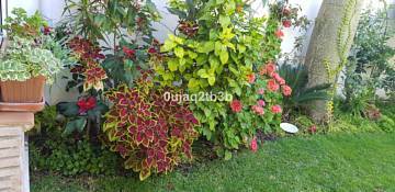 Thumbnail von Villa For Sale in New Golden Mile, Málaga