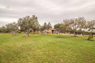 Thumbnail von Palma de Mallorca Villa ES122951