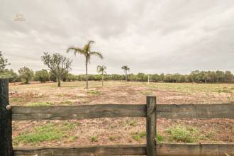 Thumbnail von Palma de Mallorca Villa ES122951