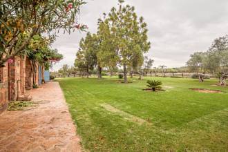 Thumbnail von Palma de Mallorca Villa ES122951