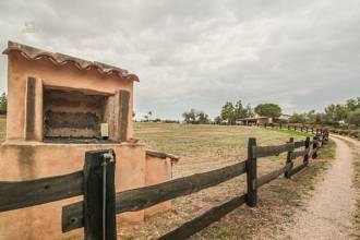 Thumbnail von Palma de Mallorca Villa ES122951