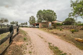 Thumbnail von Palma de Mallorca Villa ES122951