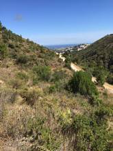 Thumbnail von Land For Sale in El Madroñal, Málaga