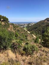 Thumbnail von Land For Sale in El Madroñal, Málaga
