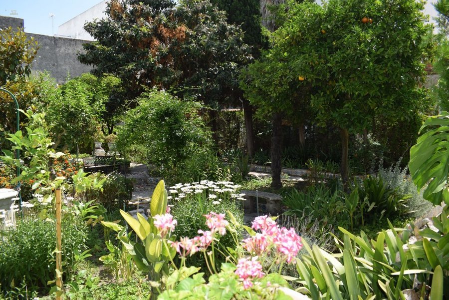 Other For Sale in Puerto Real, Cádiz