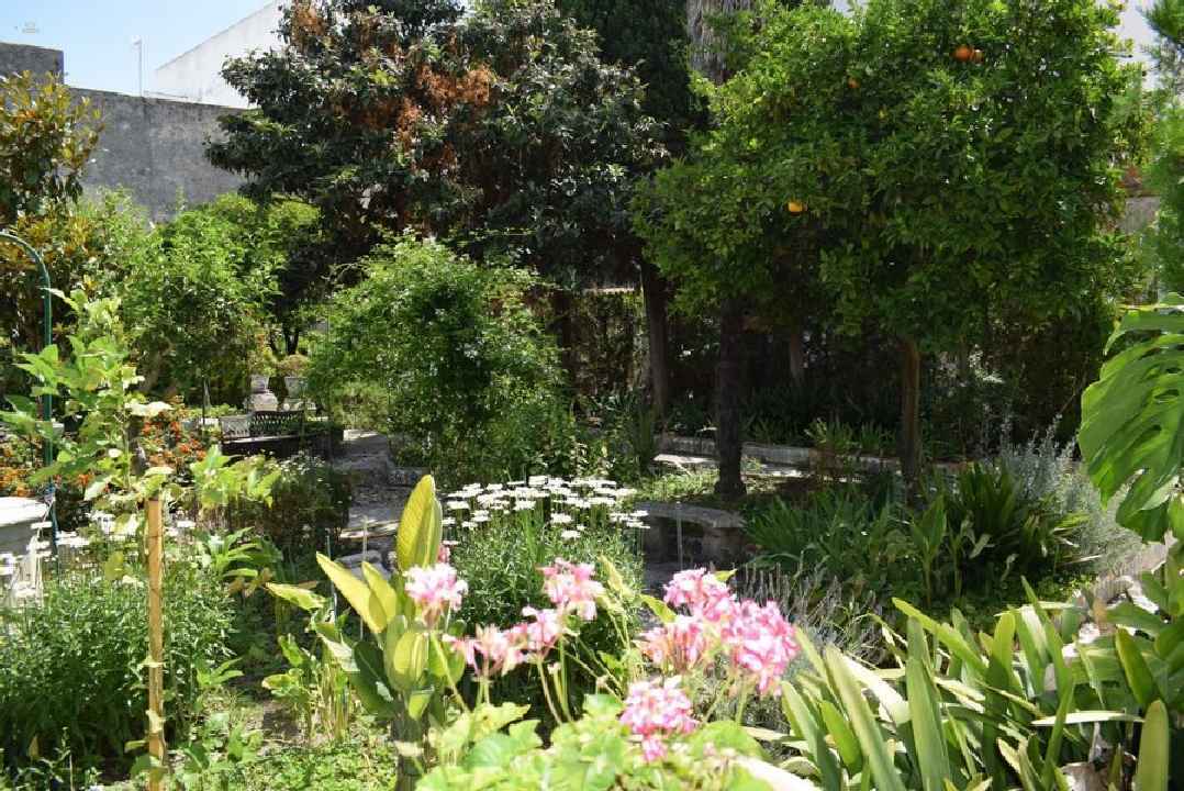 Other For Sale in Puerto Real, Cádiz