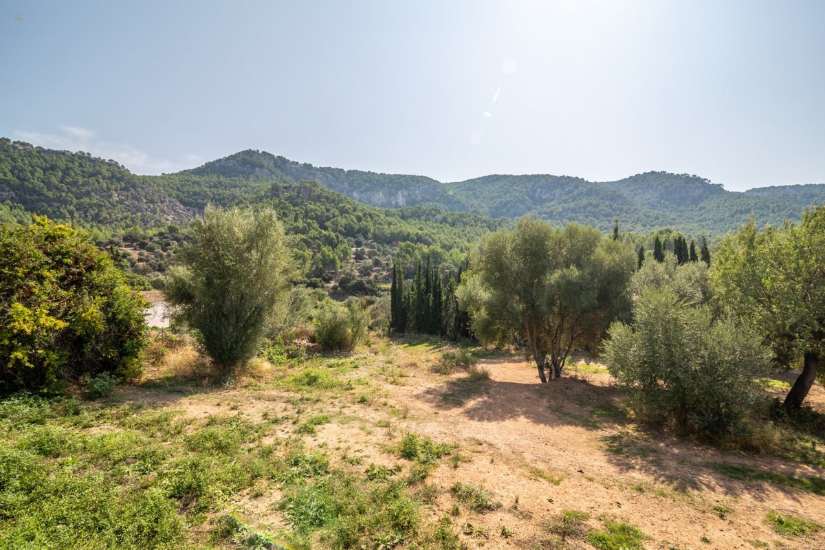 Thumbnail von Andratx Commercial Property ES93370