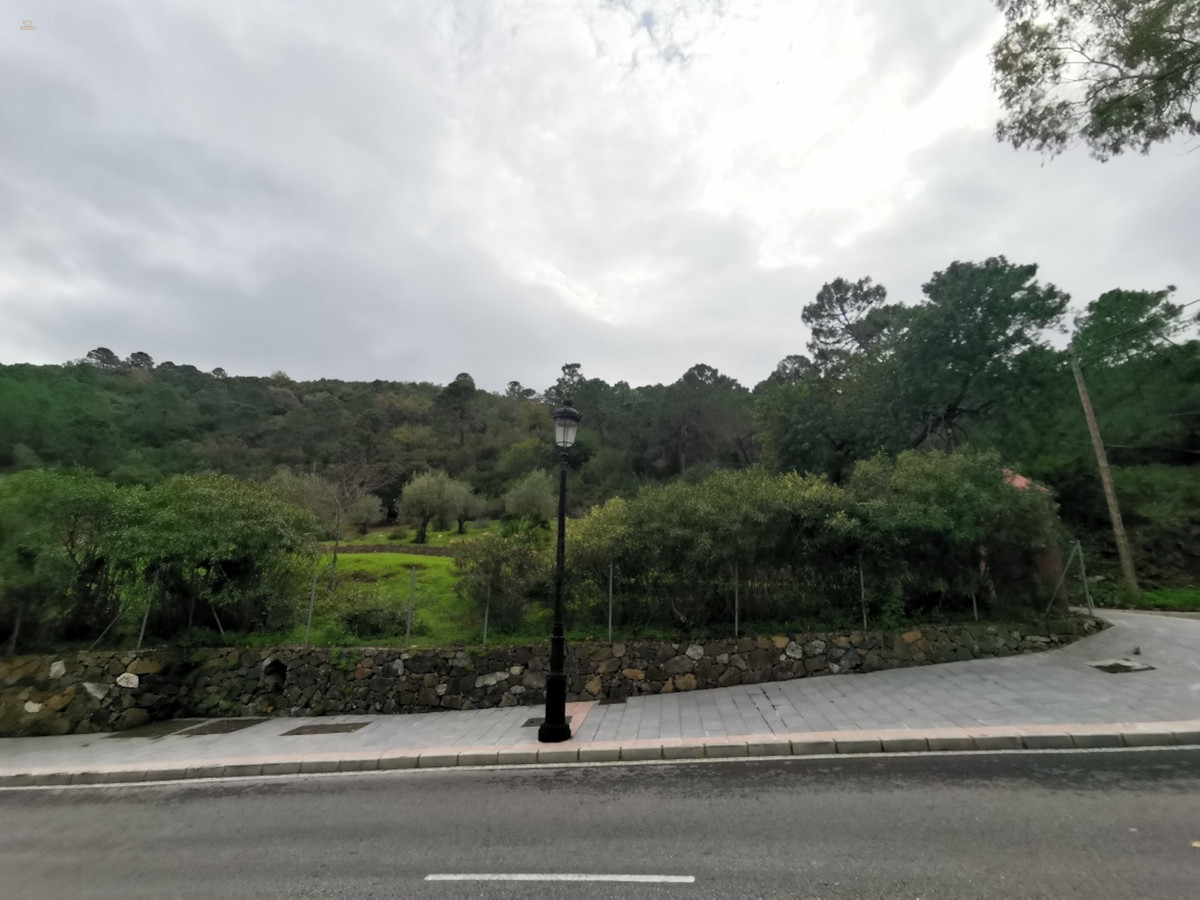 Thumbnail von Benahavís Land ES91649