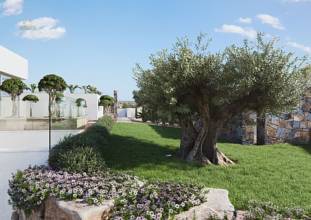 Thumbnail von Campoamor Villa ES115803