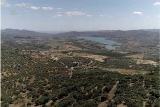 Thumbnail von Periana Commercial Property ES102087