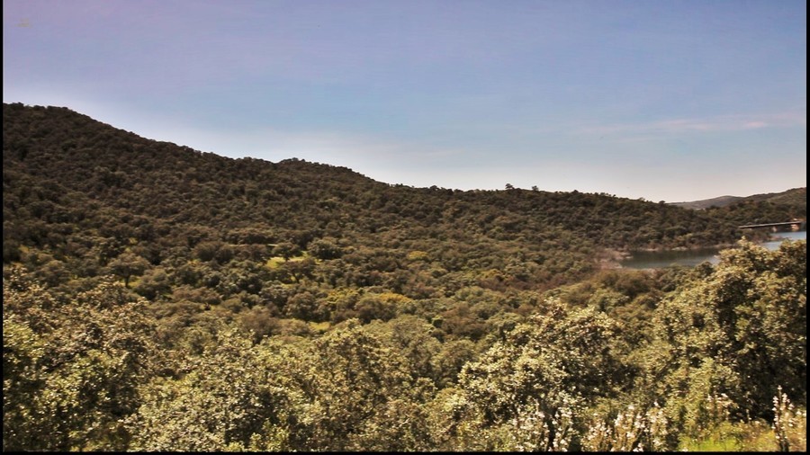 Thumbnail von Almodovar del Rio Finca ES21938