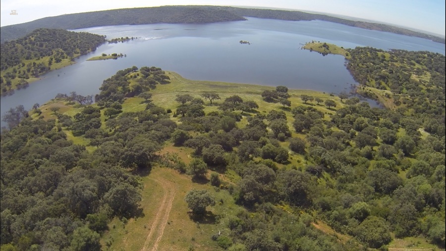 Thumbnail von Almodovar del Rio Finca ES21938