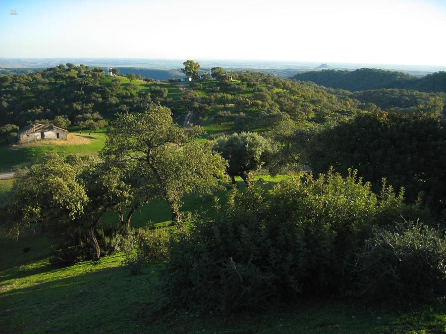 Thumbnail von Almodovar del Rio Finca ES21938