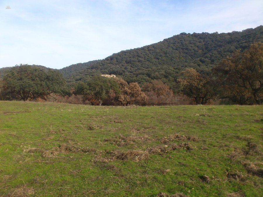 Thumbnail von Almodovar del Rio Finca ES21938