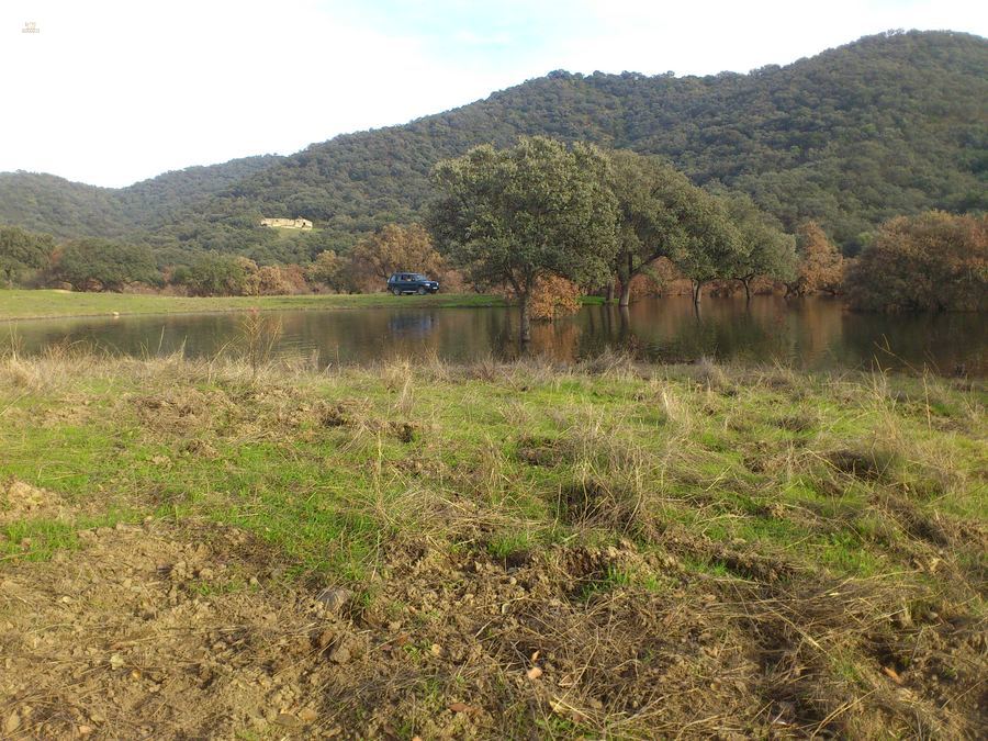 Thumbnail von Almodovar del Rio Finca ES21938