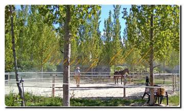 Thumbnail von Immogold Finca mit Wohnhaus, Pool und schönem Pferdestall in toller Lage