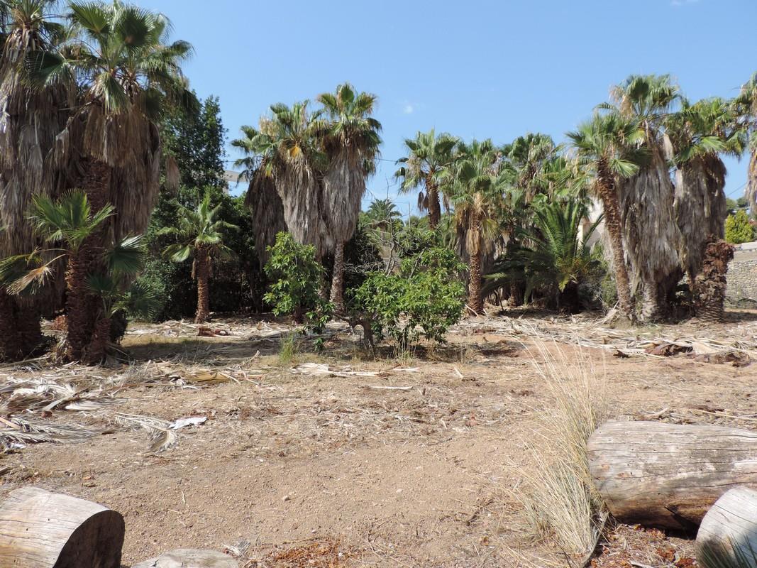 Thumbnail von Benissa Land ES135461