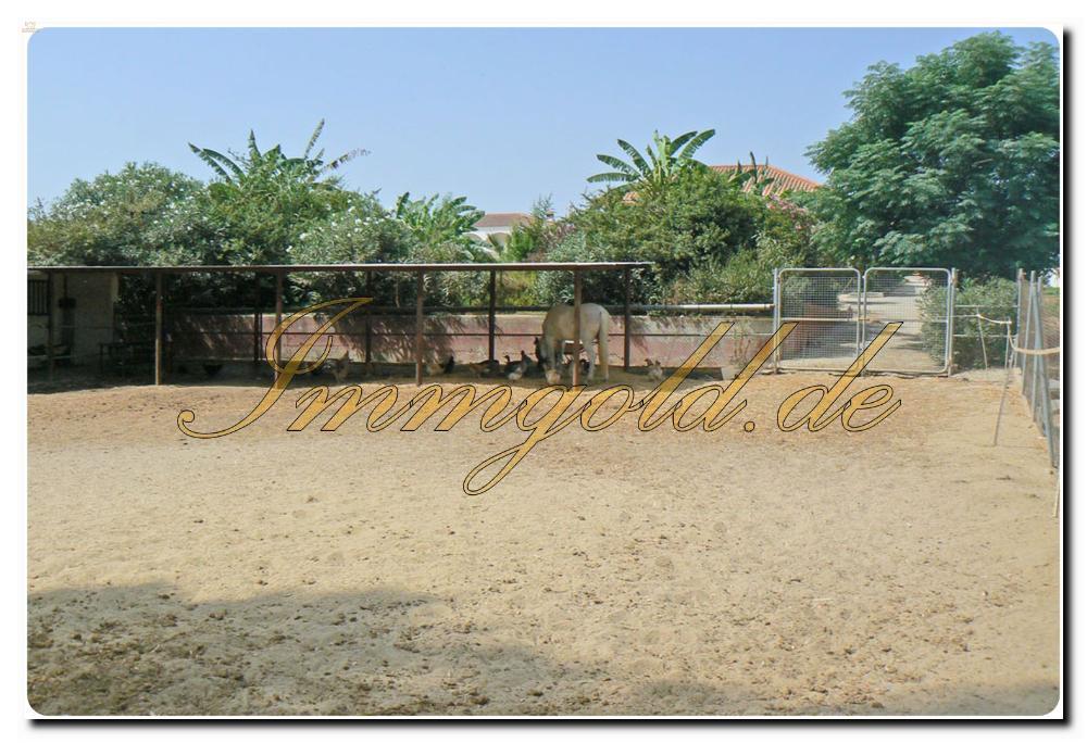 Thumbnail von Immogold Haus mit Pferdestall und Pool