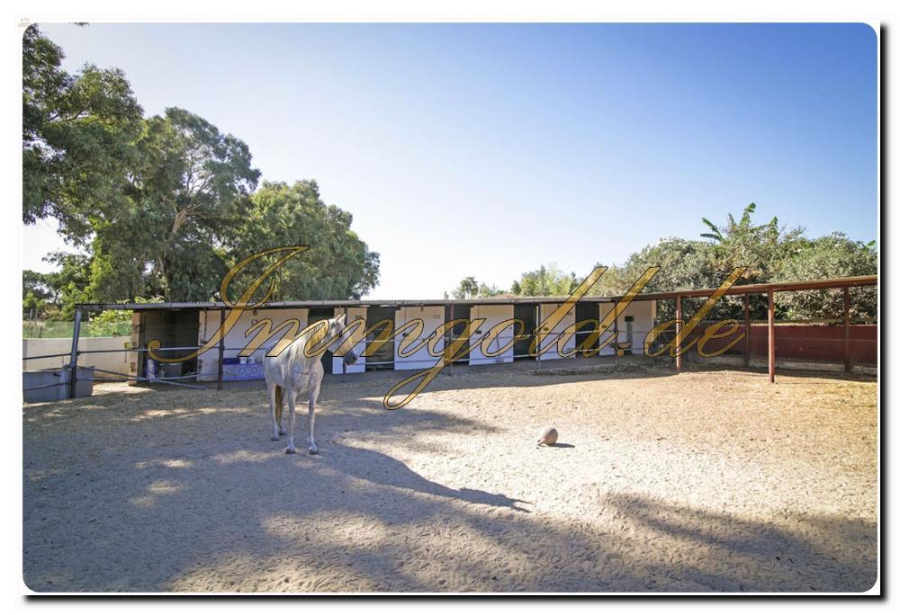 Thumbnail von Immogold Haus mit Pferdestall und Pool