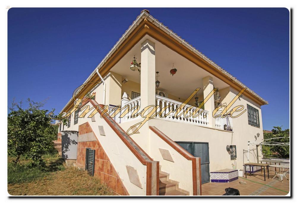 Thumbnail von Immogold Haus mit Pferdestall und Pool