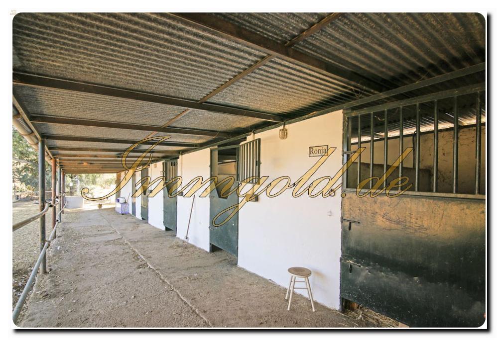 Thumbnail von Immogold Haus mit Pferdestall und Pool