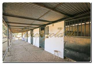 Thumbnail von Immogold Haus mit Pferdestall und Pool