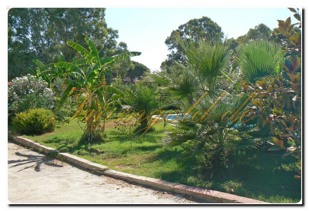 Thumbnail von Immogold Haus mit Pferdestall und Pool