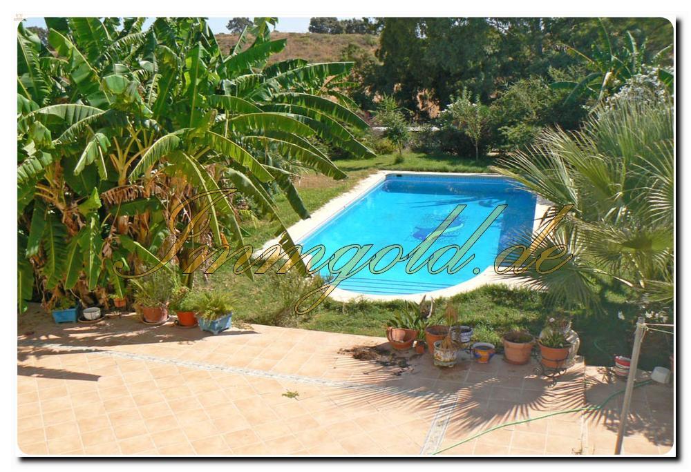 Thumbnail von Immogold Haus mit Pferdestall und Pool