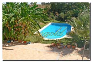 Thumbnail von Immogold Haus mit Pferdestall und Pool