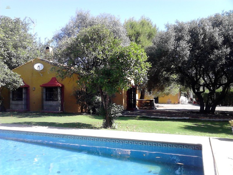 Sotogrande Country House ES117290