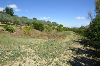Thumbnail von Villa For Sale in Alhaurin de la Torre, Málaga