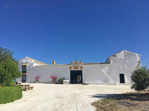 Country House For Sale in Moron De La Frontera, Sevilla 