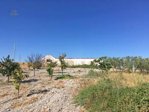 Thumbnail von Country House For Sale in Moron De La Frontera, Sevilla