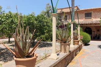 Thumbnail von Country House For Sale in Santa Maria del Cami, Baleares