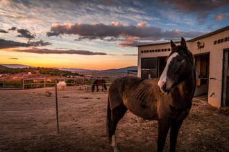Thumbnail von Country House For Sale in Pinoso, Alicante