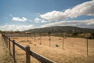 Thumbnail von Country House For Sale in Pinoso, Alicante